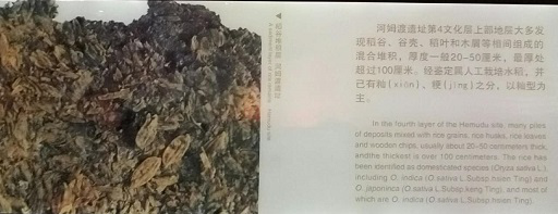 &#28216;&#33351;&#20250;&#40;&#20013;&#25991;&#41;&#23448;&#26041;&#32593;&#31449;